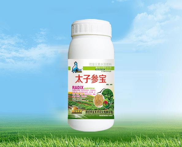  太子参宝