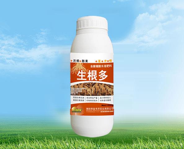 生根多