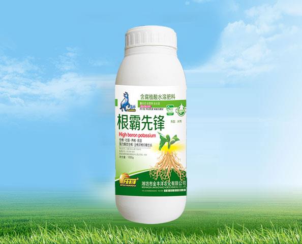 根霸先锋