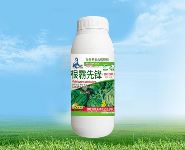 根霸先锋