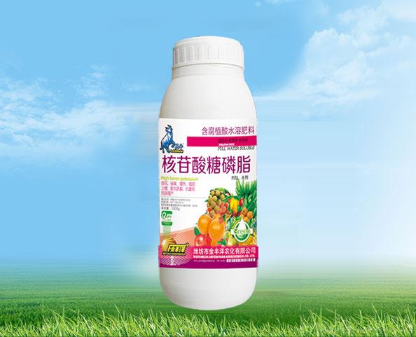 核苷酸糖磷脂