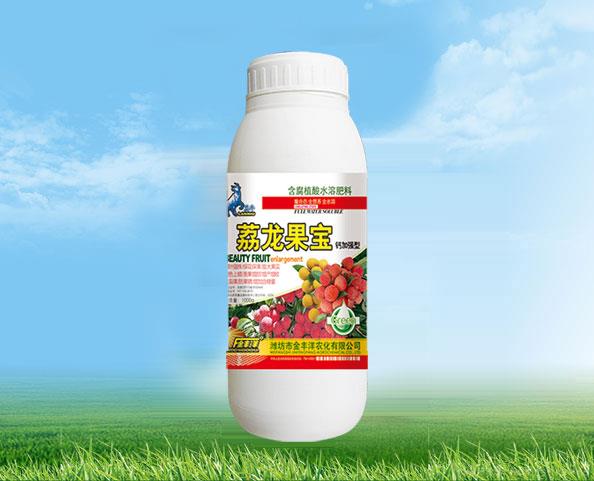 荔龙果宝