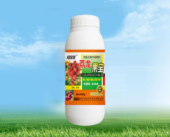 荔龙果宝