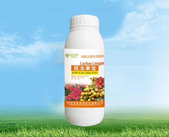 荔龙果宝