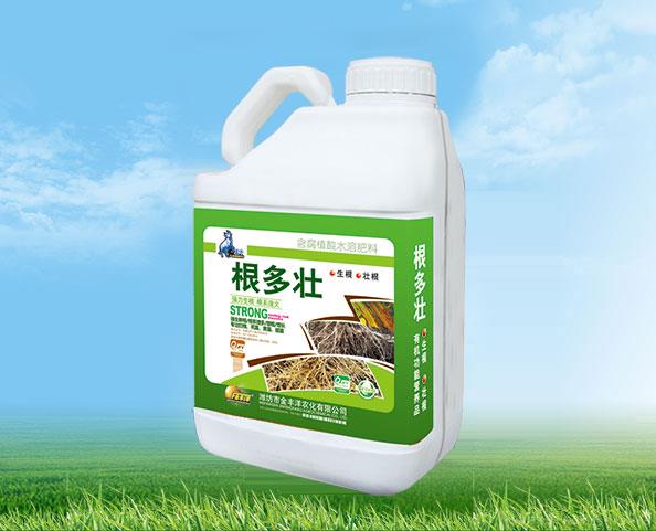 根多壮