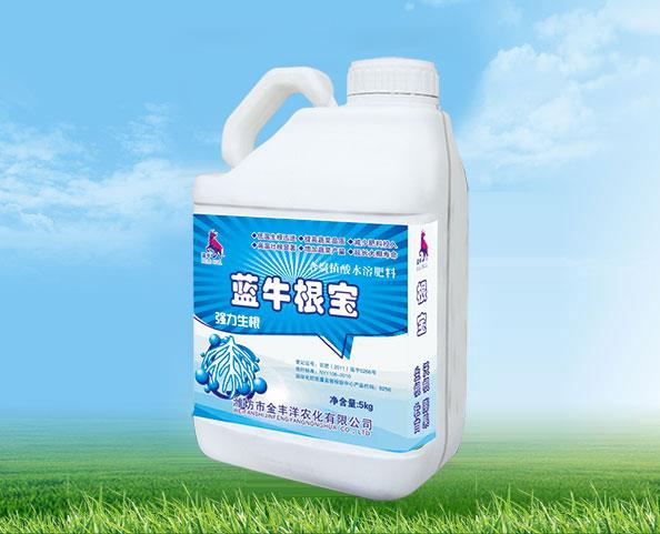 蓝牛根宝