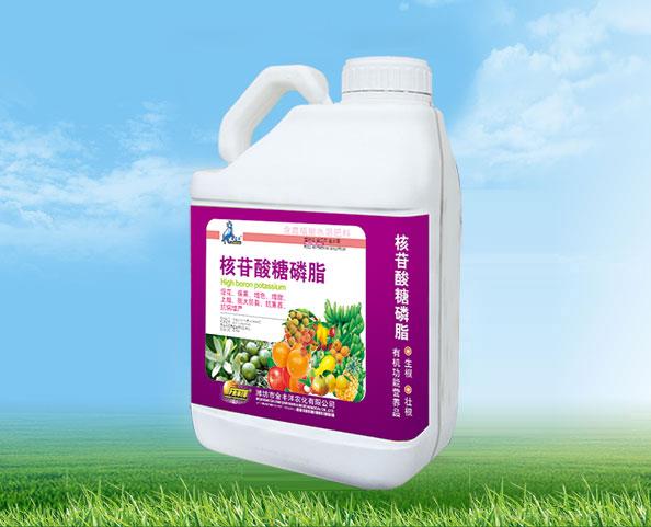 核苷酸糖磷脂