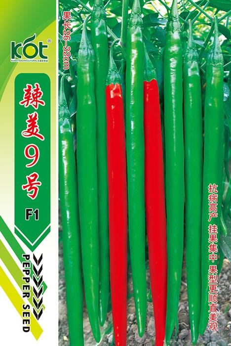 辣美9号