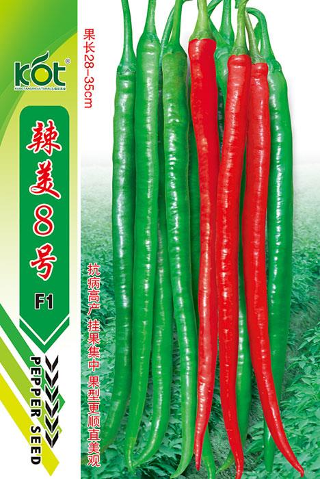 辣美8号