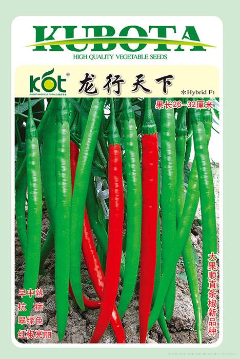 龙行天下
