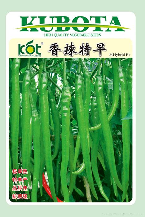 香辣特早