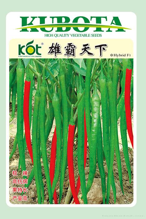雄霸天下