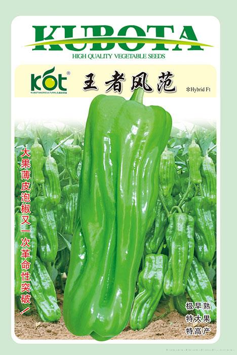 王者风范
