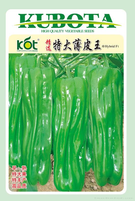 精选特大薄皮王