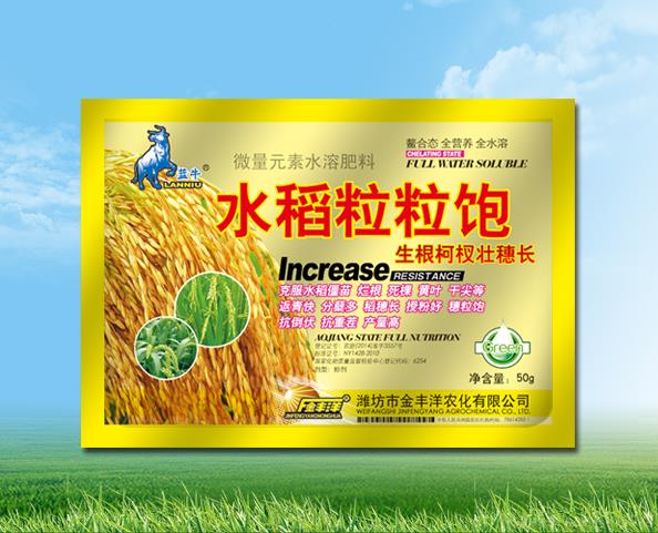 水稻粒粒饱