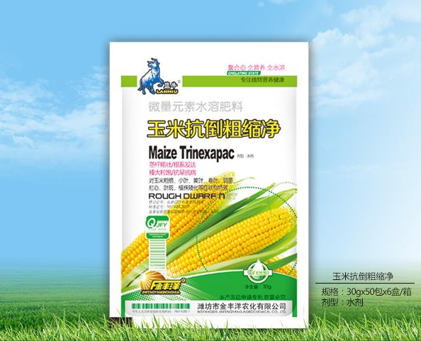 玉米抗倒粗缩净