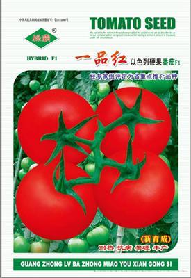 一品红--番茄种子