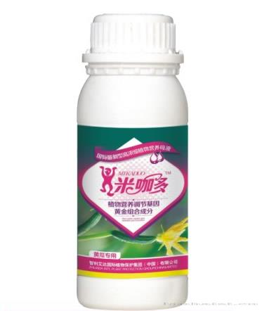黄瓜专用