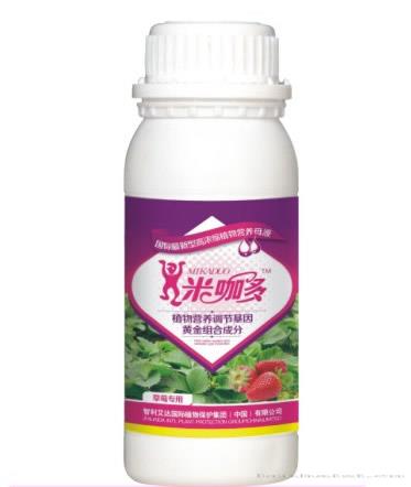草莓专用