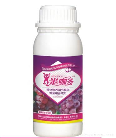 葡萄/提子专用