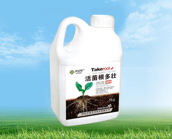 活菌根多壮