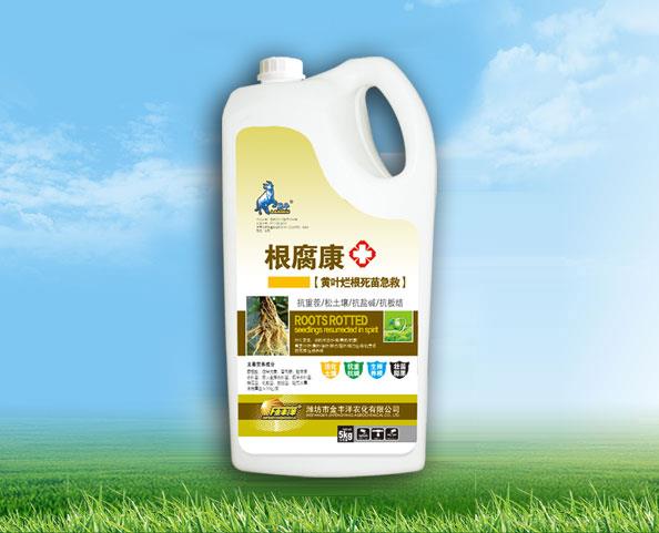 根腐康