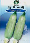 特早一号