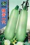 银青一代