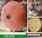 HS308