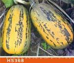 HS368