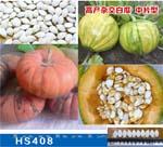 HS408