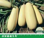 改良鑫瑞九号