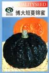 博大短蔓锦蜜