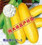 精品博大F1-3