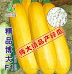精品博大F1