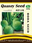 西洋玉珠