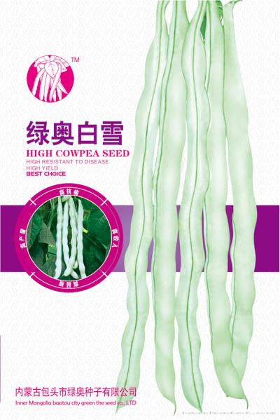绿奥白雪