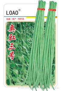 奥豇三号