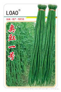 奥豇一号