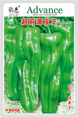 超前薄皮王