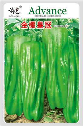金棚皇冠