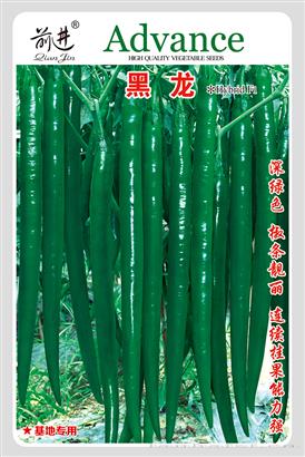 黑龙