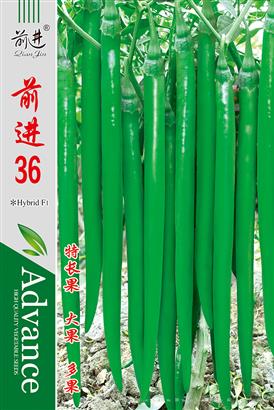 前进36