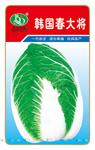 韩国春大将