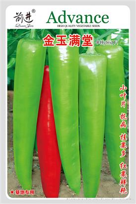 金玉满堂