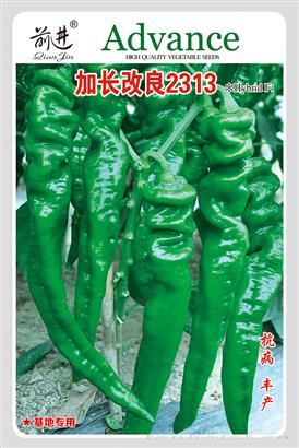 加长改良2313