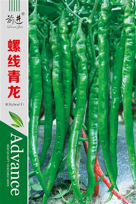 螺线青龙