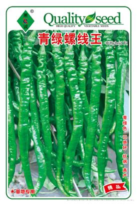 青绿螺线王
