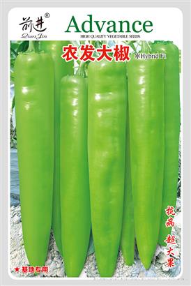 农发大椒