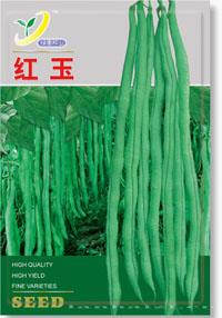 红玉